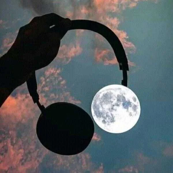 دانلود آهنگ خدا گله دارم ازت این بنده هات بویی نبردن ازت دانلود آهنگ خدا گله دارم ازت این بنده هات بویی نبردن ازت