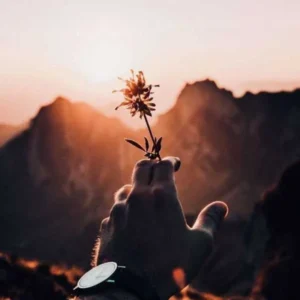 گوگوش کمکم کن