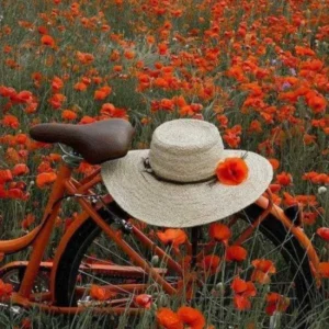 هایده بهونه