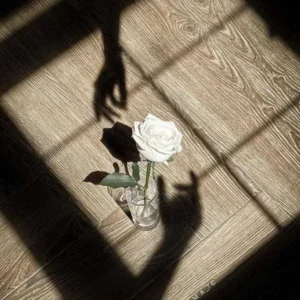 شراره عروسی