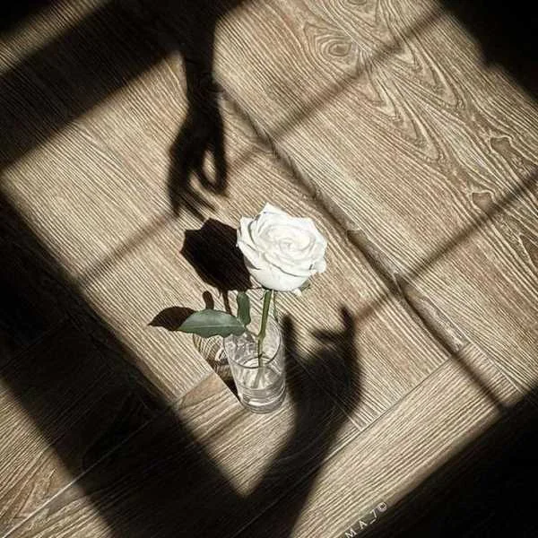 دانلود آهنگ شراره عروسی