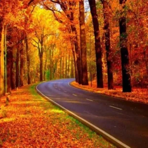 هایده و محسن چاوشی بارون پاییزی هوش مصنوعی