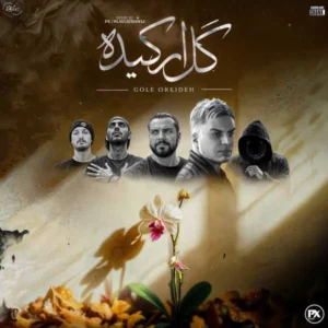 ریمیکس ایلیا منفرد و صادق و مسلک و پیشرو و شایع گل ارکیده